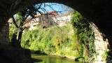 Potes